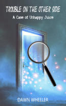 Afterlife Mystery. Book about life after death and Heaven.